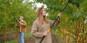 The Best Tree Pruning Services Near Me: A Comprehensive Guide
