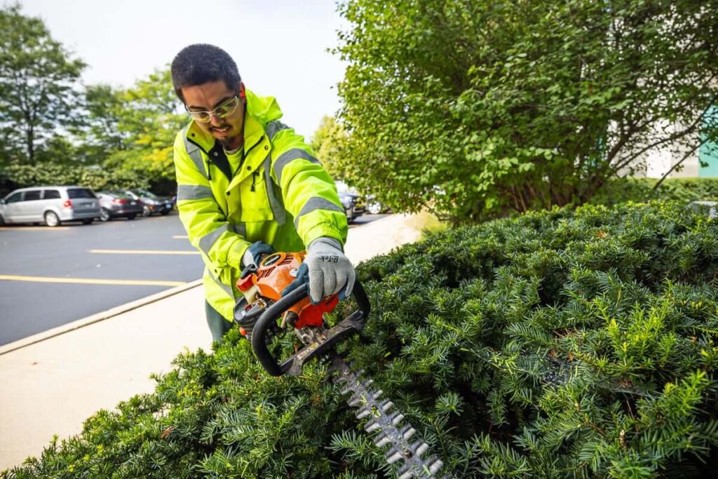 Hedge Trimming Service