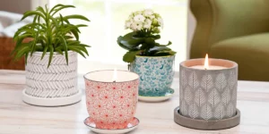 Buying Bulk Candle Jars: Tips for Crafters