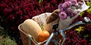 Food Hampers Brisbane: Exploring Top Tastes in the Sunshine State