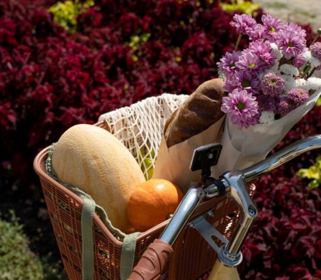 Food Hampers Brisbane: Exploring Top Tastes in the Sunshine State